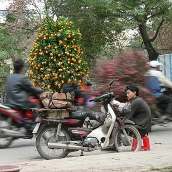 NKMD - Fotogalerie - Vietnam